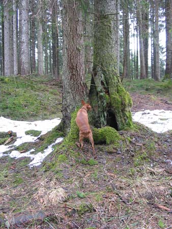 IMG_1500