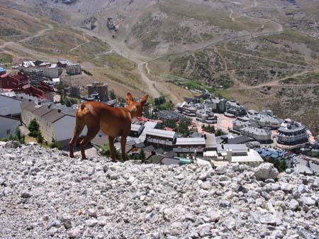 107_0757_SierraNevada