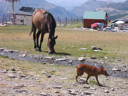 107_0777_SierraNevada